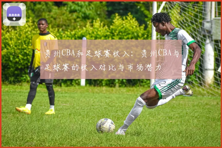 贵州CBA和足球赛收入：贵州CBA与足球赛的收入对比与市场潜力